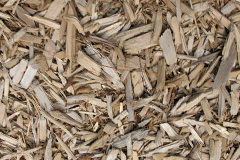 biomass boilers Danebank