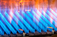 Danebank gas fired boilers